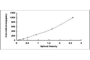 Typical standard curve (IFNB1 ELISA Kit)