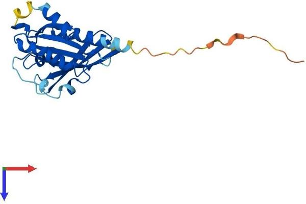 RAB38 Protein (AA 1-211) (His tag)