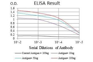 ELISA image for anti-Tumor Necrosis Factor Receptor Superfamily, Member 8 (TNFRSF8) antibody (ABIN969019)