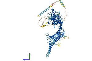 Protein Structure (PS) image for Coiled-Coil Domain Containing 135 (CCDC135) (AA 1-876) protein (His tag) (ABIN7558115)