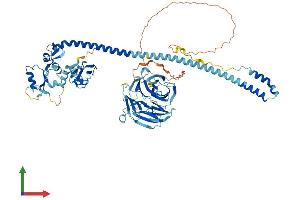 Protein Structure (PS) image for Tripartite Motif Containing 56 (TRIM56) (AA 1-734) protein (His tag) (ABIN7558360)