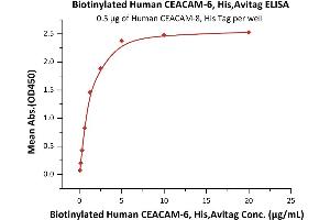 Immobilized Human CEACAM-8, His Tag (ABIN2180872,ABIN2180871) at 5 μg/mL (100 μL/well) can bind Biotinylated Human CEACAM-6, His,Avitag (ABIN6731313,ABIN6809939) with a linear range of 0. (CEACAM6 Protein (AA 35-320) (His tag,AVI tag,Biotin))