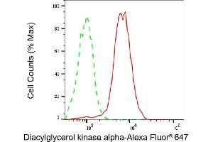 anti-Diacylglycerol Kinase, alpha 80kDa (DGKA) antibody