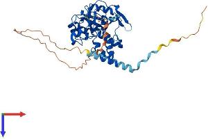 HS3ST3B1 Protein (AA 1-390) (His tag)