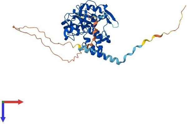 HS3ST3B1 Protein (AA 1-390) (His tag)