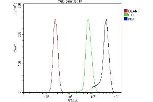 Flow Cytometry analysis of U937 cells using anti-NSF antibody (ABIN7601630). (NSF Antikörper  (AA 4-636))
