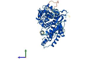 Protein Structure (PS) image for Cytochrome P450, Family 2, Subfamily D, Polypeptide 7 Pseudogene 1 (CYP2D7P1) (AA 1-515) protein (His tag) (ABIN7546733)