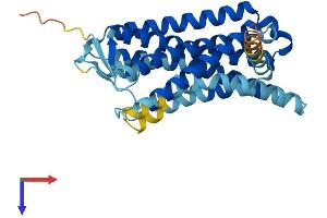 OR7A5 Protein (AA 1-319) (His tag)