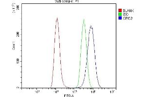 Flow Cytometry analysis of U20S cells using anti-GRID2 antibody (ABIN7603172).