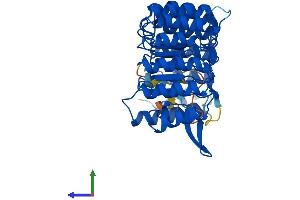 AlphaFold protein structure predicition of Mouse Recombinant Lrrc34 Protein, UniprotID Q9DAM1