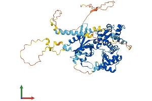 AlphaFold protein structure predicition of Mouse Recombinant Caps2 Protein, UniprotID Q8BUG5