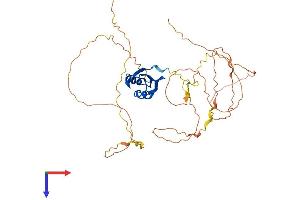 A2BP1 Protein (AA 1-397) (His tag)