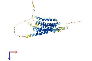 Protein Structure (PS) image for Mesothelin (MSLN) (AA 1-375) protein (His tag) (ABIN7564400)