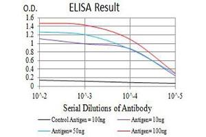 Black line: Control Antigen (100 ng),Purple line: Antigen (10 ng), Blue line: Antigen (50 ng), Red line:Antigen (100 ng) (ATPase Inhibitory Factor 1 Antikörper  (AA 1-106))