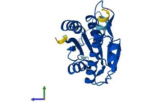 Protein Structure (PS) image for Pyroglutamyl-Peptidase I (PGPEP1) (AA 1-209) protein (His tag) (ABIN7561486)