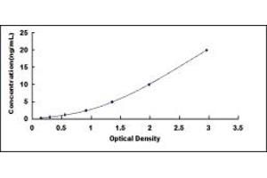 Typical standard curve (F2RL3 ELISA Kit)