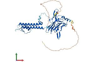 Protein Structure (PS) image for Potassium Inwardly-Rectifying Channel, Subfamily J, Member 5 (KCNJ5) (AA 1-419) protein (His tag) (ABIN7563320)