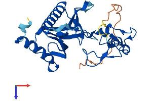 PLEKHF2 Protein (AA 1-249) (His tag)