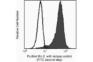Profile of permeabilized lymphocytes analyzed on a FACScan (BDIS, San Jose, CA) (First Panel). (Bcl-2 Antikörper  (AA 41-54))