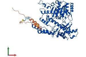 AlphaFold protein structure predicition of Mouse Recombinant Gadl1 Protein, UniprotID Q80WP8