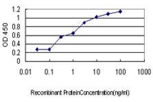 Detection limit for recombinant GST tagged SH3BP5 is approximately 0. (SH3BP5 Antikörper  (AA 4-112))