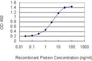 Detection limit for recombinant GST tagged STAT2 is 0. (STAT2 Antikörper  (AA 742-851))
