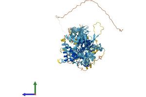 AlphaFold protein structure predicition of Human Recombinant MCM8 Protein, UniprotID Q9UJA3