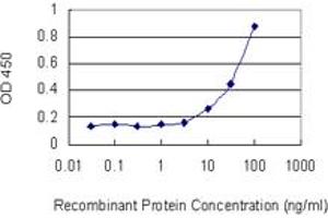 Detection limit for recombinant GST tagged CAT is 1 ng/ml as a capture antibody. (Catalase Antikörper  (AA 1-100))