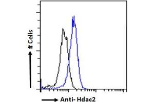 ABIN6391348 Flow cytometric analysis of paraformaldehyde fixed HeLa cells (blue line), permeabilized with 0. (HDAC2 Antikörper  (Internal Region))