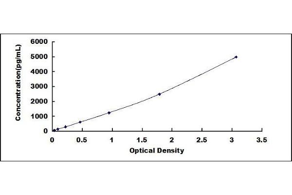 MMP7 ELISA Kit