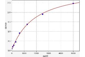 Typical standard curve