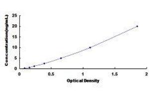ELISA image for Oxysterol Binding Protein-Like 8 (OSBPL8) ELISA Kit (ABIN421278)