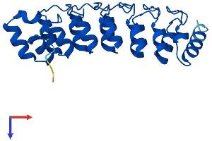PSMD10 Protein (AA 1-231) (His tag)