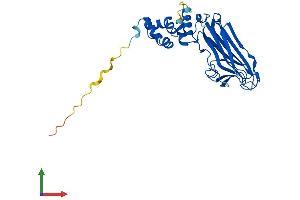 Protein Structure (PS) image for F-Box Protein 27 (FBXO27) (AA 1-283) protein (His tag) (ABIN7547626)