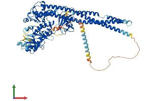 Protein Structure (PS) image for Inhibitor of kappa Light Polypeptide Gene Enhancer in B-Cells, Kinase beta (IKBKB) (AA 1-757) protein (His tag) (ABIN7562595)