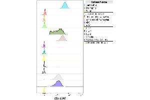 Flow cytometry multicolor surface staining pattern of human lymphocytes stained using anti-human CD3 (UCHT1) APC antibody (10 μL reagent / 100 μL of peripheral whole blood) and anti-human CD16 (LNK16) PE antibody (concentration in sample 9 μg/mL). (CD16 Antikörper  (PE))