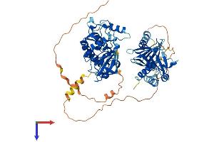 PLK3 Protein (AA 1-646) (His tag)