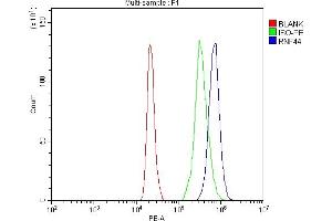 Flow Cytometry analysis of HL-60 cells using anti-RNF44 antibody (ABIN7601901).