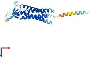 Claudin 22 (CLDN22) (AA 1-220) protein (His tag)