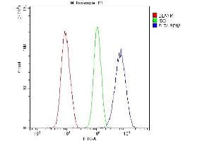 Flow Cytometry analysis of U20S cells using anti-VEGF Receptor 3 antibody (ABIN5693136).