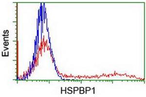 HEK293T cells transfected with either RC201814 overexpress plasmid (Red) or empty vector control plasmid (Blue) were immunostained by anti-HSPBP1 antibody (ABIN2454876), and then analyzed by flow cytometry. (HSPBP1 Antikörper)