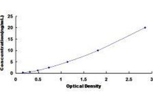 ELISA image for Natriuretic Peptide Receptor A/guanylate Cyclase A (Atrionatriuretic Peptide Receptor A) (NPR1) ELISA Kit (ABIN433014)