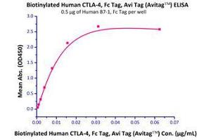 Immobilized Human B7-1, Fc Tag (Cat# B71-H5259) at 5 μg/mL (100 µl/well),can bind Biotinylated Human CTLA-4, Fc tag (Cat# CT4-H82F3) with a linear range of 0.