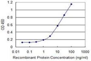 Detection limit for recombinant GST tagged PVRL3 is 0. (nectin-3 Antikörper  (AA 59-166))