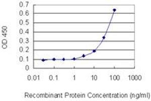 Detection limit for recombinant GST tagged PHACTR3 is 1 ng/ml as a capture antibody. (PHACTR3 Antikörper  (AA 92-179))