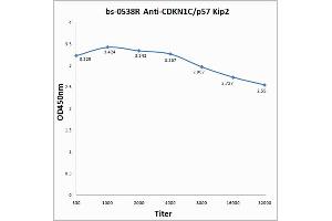 Antigen: 0. (CDKN1C Antikörper  (AA 291-343))