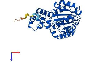 TTPA Protein (AA 1-278) (His tag)