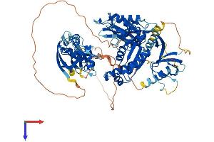 DLG4 Protein (AA 1-724) (His tag)