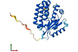 Protein Structure (PS) image for Deoxycytidine Kinase (DCK) (AA 1-260) protein (His tag) (ABIN7547012)