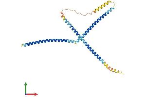 Protein Structure (PS) image for FGFR1 Oncogene Partner 2 (FGFR1OP2) (AA 1-253) protein (His tag) (ABIN7547608)